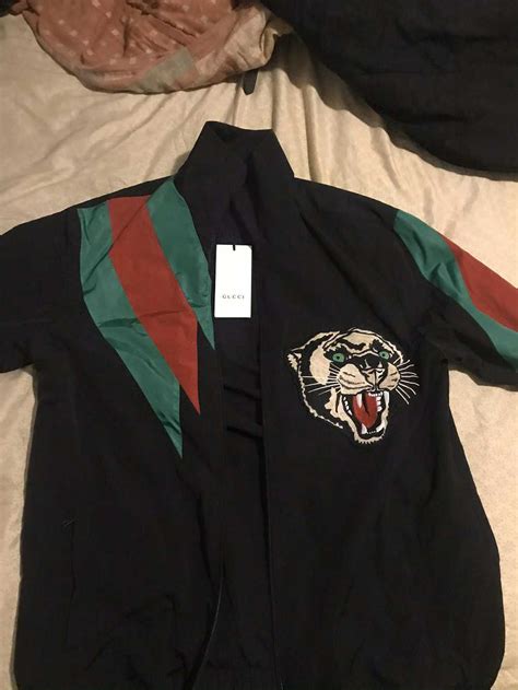 ralph lauren tiger vs gucci tiger|Gucci tiger jacket.